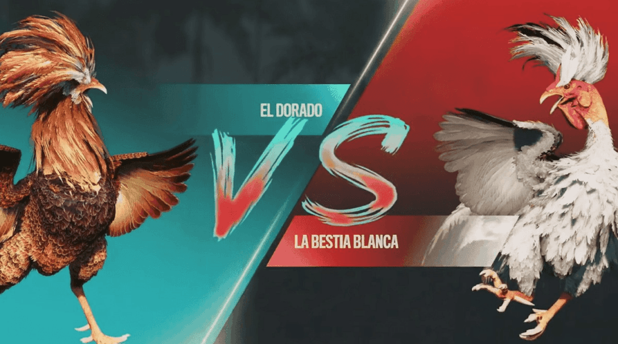oo1998 Plataforma Jogos